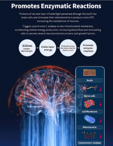 OZING NeuroLight Pro - Smart Photobiomodulation Helmet