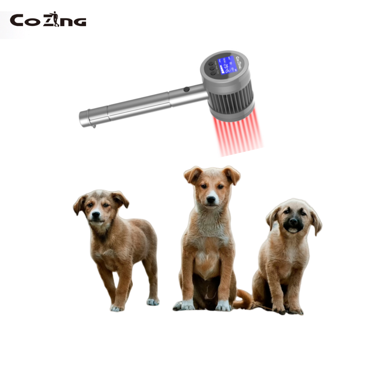COZING-T05-4 10W 650nm 808nm Professional Laser Therapy Device – Advanced Dual-Wavelength Photobiomodulation System