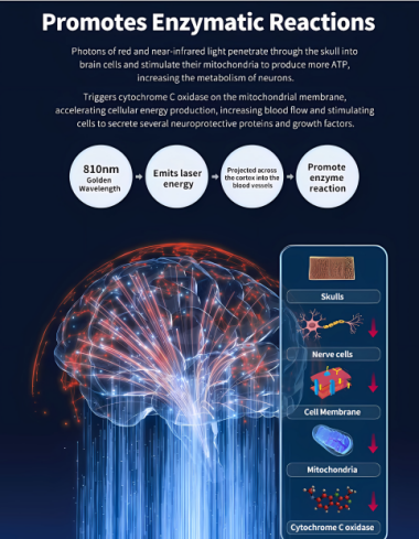 1050nm 660nm Dual-Wavelength Neurological Treatment Device with Zone-Specific Protocols