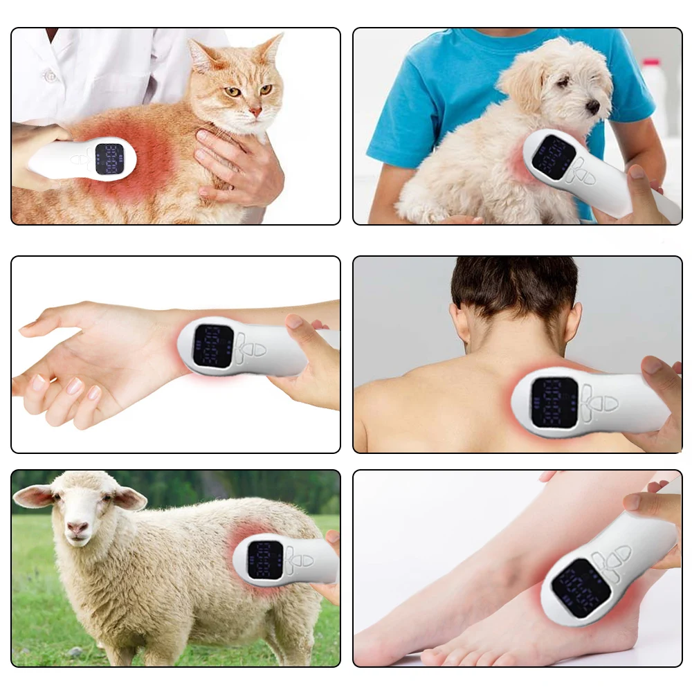 Veterinary use protable lllt cold laser pain relief wound healing instrument for animals Veterinary use protable lllt cold laser pain relief wound healing instrument for animals