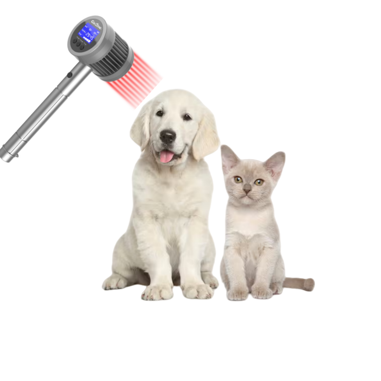 COZING-T05-7 650nm 808nm 904nm 980nm Multi-Wavelength Superpulse Laser Therapy System - Clinical-Grade Photobiomodulation Solution COZING-T05-7 650nm 808nm 904nm 980nm Multi-Wavelength Superpulse Laser Therapy System - Clinical-Grade Photobiomodulation Solution