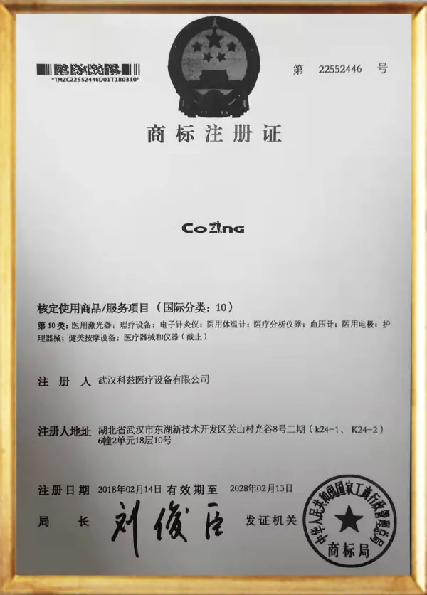 COZING Chinese Trademark