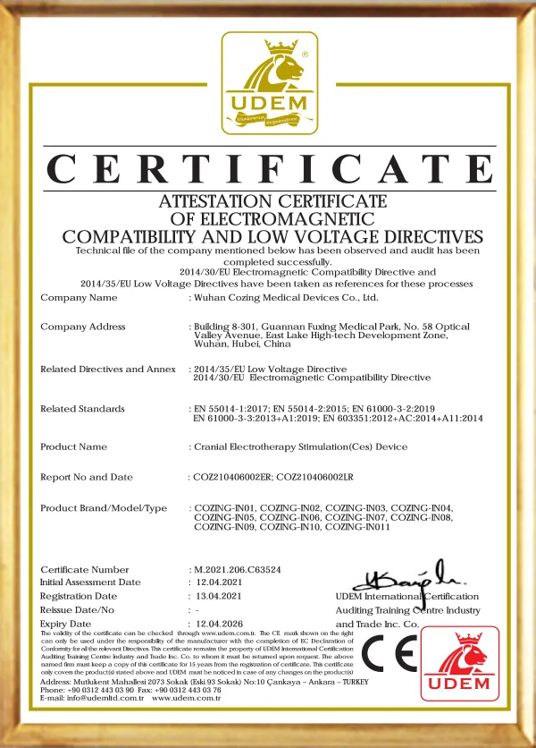 COZING-IN01 CE