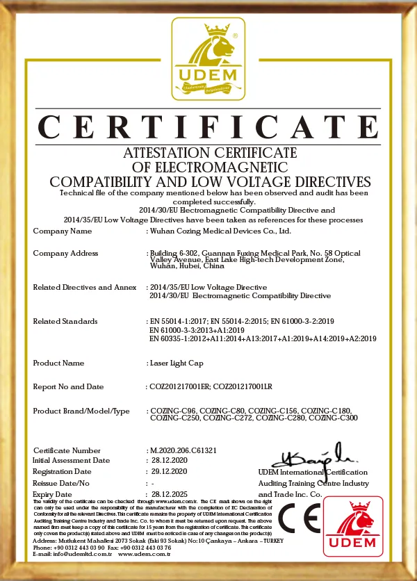 C300 --CE