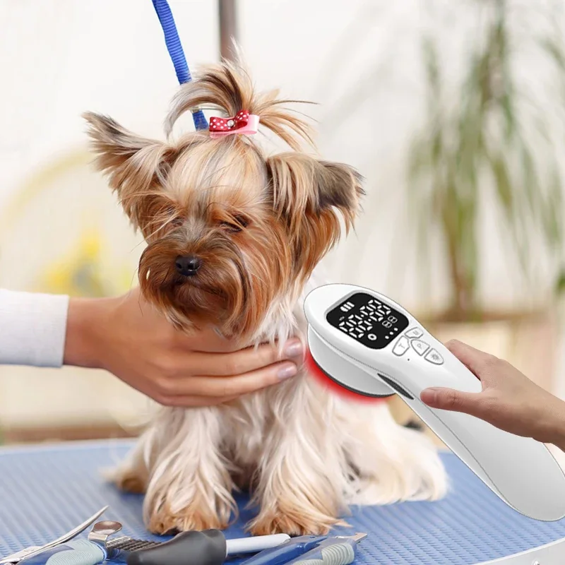Veterinary use protable lllt cold laser pain relief wound healing instrument for animals