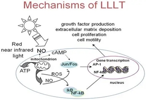 Why do detox reactions (healing reactions) occur when the user use the COZING-WS11/11H/WS12/13 ?
