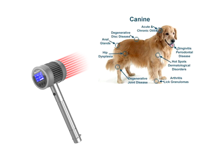 Veterinary Portable Cold Laser Therepay Device