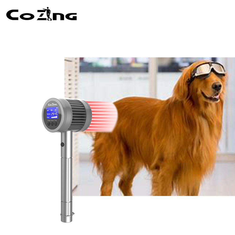 2021 the Newest Pain Management Lasers Dr. Recommend Pain Relief Laser Devices Suitable for animals