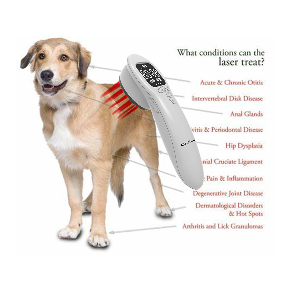 Powerful Portable Cold Laser Physiotherapy Device for Animal Body Pain Relief Wound Healing